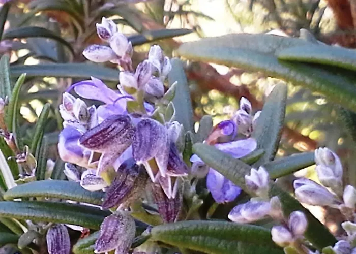 Prázdninový dům Lugar Do Pego Tondela