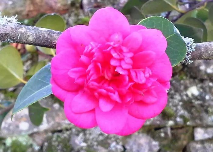 Lugar Do Pego Hébergement de vacances