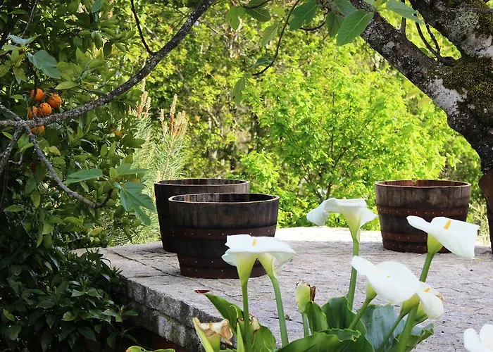 Lugar Do Pego Prázdninový dům *